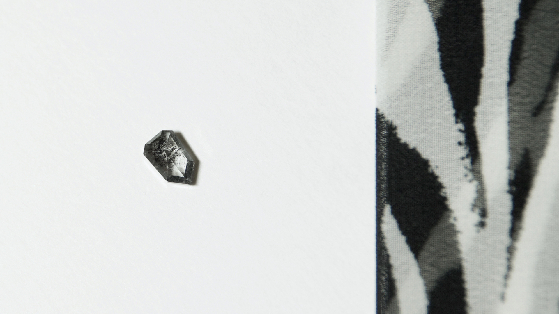 ゼブラダイヤモンド(ZEBRA DIAMOND)がゼブラ柄、シマウマ柄の理由
